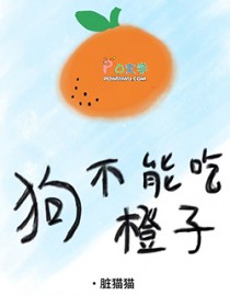 狗不能吃橙子