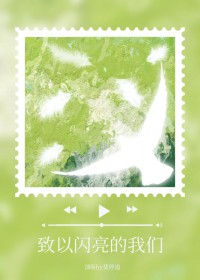 致以闪亮的我们
