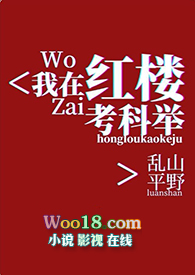 [红楼同人]我在红楼考科举