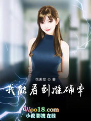 我能看到准确率