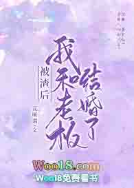 被渣后我和老板结婚了